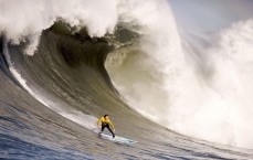 【足球彩票】新加坡国家队迎新帅，日本教练再度闪耀国际足坛
