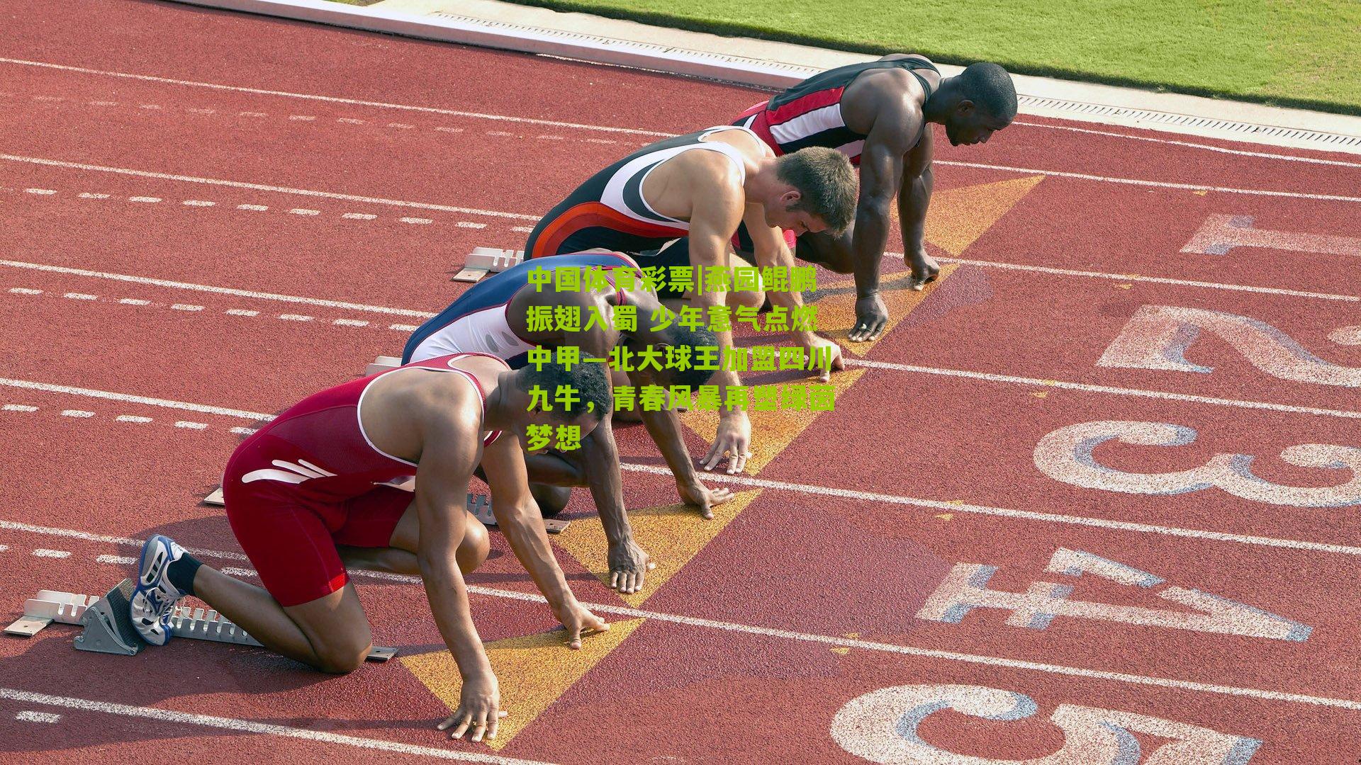 燕园鲲鹏振翅入蜀 少年意气点燃中甲—北大球王加盟四川九牛，青春风暴再塑绿茵梦想